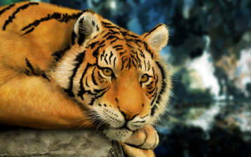 

Обои звери фото картинки тигры 1024x768

