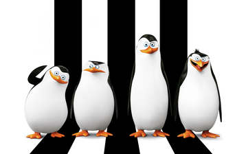 

HD картинки мультфильмы 1024x768 Пингвины Мадагаскара

