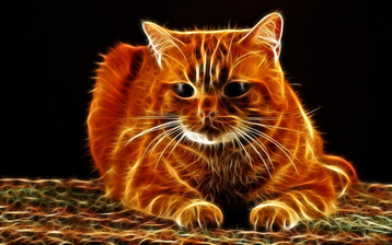 

Заставки кошки 3D графика рыжий


