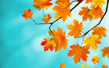 

Обои осень 1280x1024, осенние кленовые листья на рабочий стол скачать бесплатно высокого качества.

