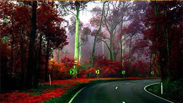 

Заставки осень лес, фото дорога 1280x720

