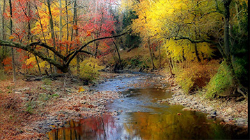 

Заставки осень ручей, фото лес 1280x720

