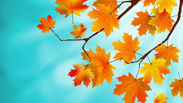 

Обои осень 1280x720, осенние кленовые листья на рабочий стол скачать бесплатно высокого качества.

