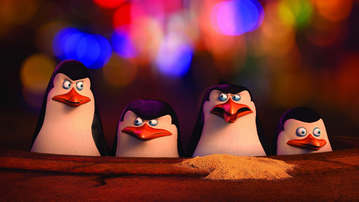 

HD обои мультфильмы 1280x720 Пингвины Мадагаскара

