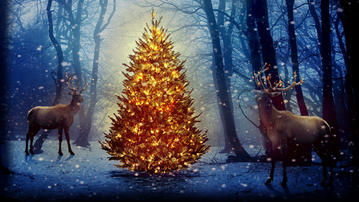 

Рисунок новогодняя елка, рождественские олени

