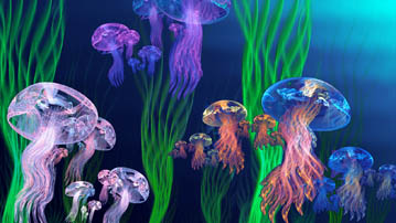 

Картинки подводный мир 1280x720

