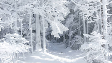 

Чудесные картинки зимней природы 1280x720

