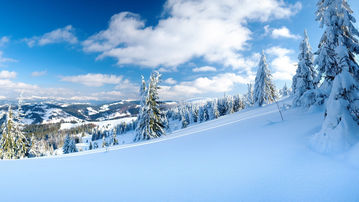 

Обои зима, картинка снег 1280x720


