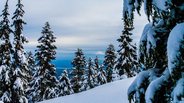 

HD заставки зима 1280x720, фото снежный лес


