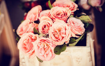 

HD картинки цветы 1280x800, розовые розы

