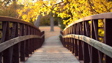 

Заставки осень, фото мостик 

