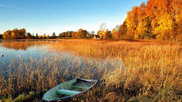 

Обои осень река, фото камыш лодка

