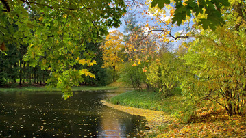 

Обои осень речка 1440x900, фото осенний лес

