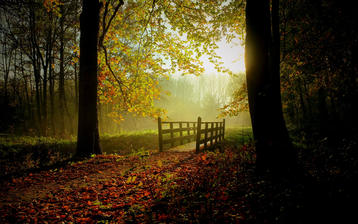 

HD картинки мосты 1440x900, лес, осень

