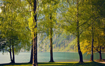 

Обои 1440x900, лиственные деревья, река


