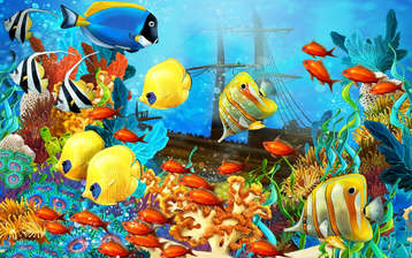 

HD картинки рыбы 1440x900

