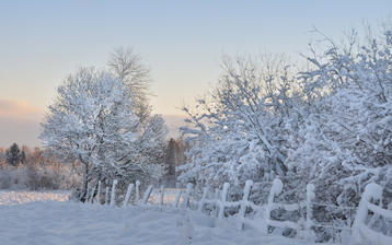 

Обои 1440x900 зима, снег, деревья, иней

