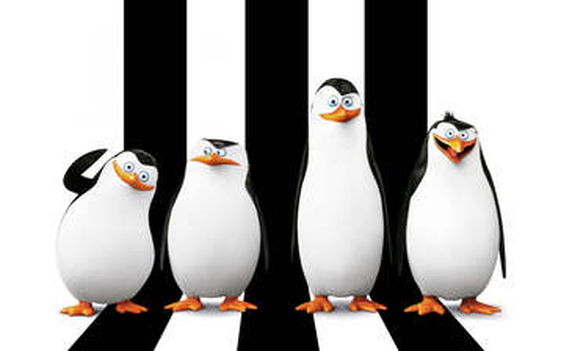 

HD картинки мультфильмы 1600x1200 Пингвины Мадагаскара

