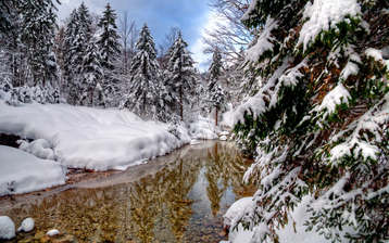 

Чудесные картинки зимней природы 1600x1200

