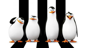 

HD картинки мультфильмы 1600x900 Пингвины Мадагаскара

