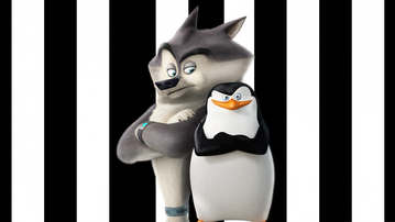 

HD обои мультфильмы 1600x900 Пингвины Мадагаскара

