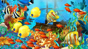 

HD картинки рыбы 1600x900

