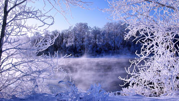 

HD обои 1600x900 зимняя природа, иней, туман

