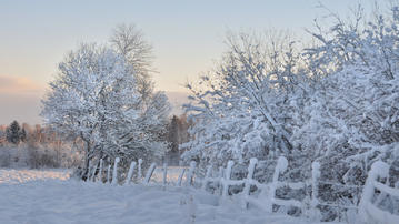

Обои 1600x900 зима, снег, деревья, иней

