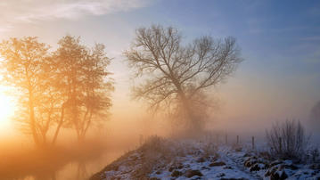 

Обои зима, фото туман 1600x900 на рабочий стол скачать бесплатно высокого качества.

