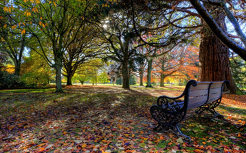 

wallpapers autumn 1680x1050

