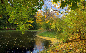 

Обои осень речка 1680x1050, фото осенний лес

