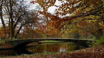

Качественные картинки осень, фото природа, мост

