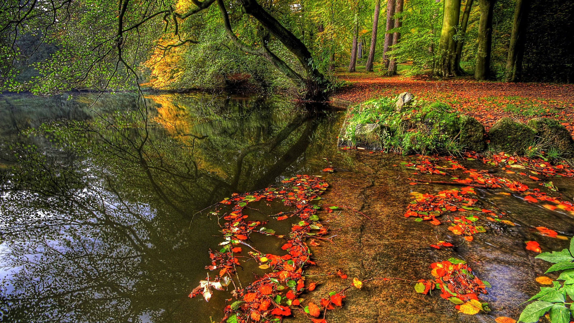 Осенний пейзаж, желтые листья, река, скачать обои осени 1920x1080 высокого  качества