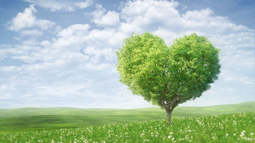 

Картинки любовное дерево сердце

