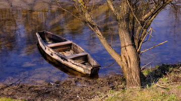 

Картинка природа, дерево, берег, лодка, осень

