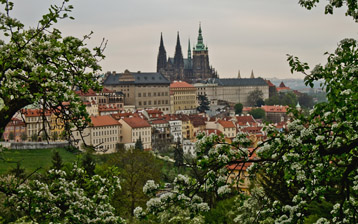 

Обои города Прага Чехия Панорама


