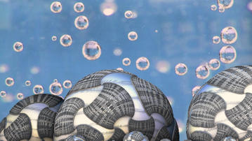 

Картинки 3d, ракушки, пузыри

