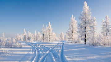 

обои зима на рабочий стол, заснеженная дорога

