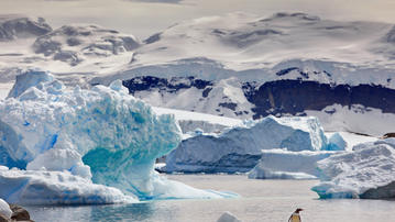 

фото зима, Антарктида, пингвин, толщи льда

