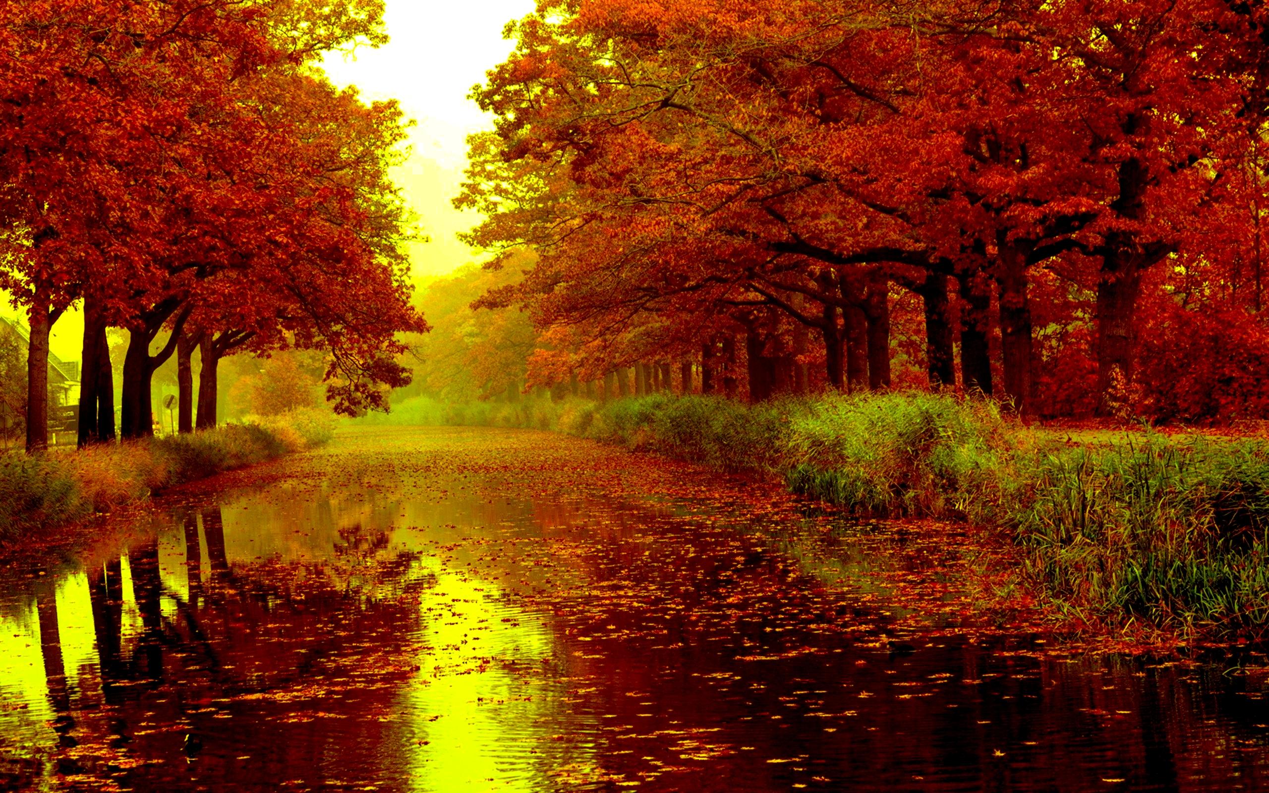 Красивые Фото Поздней Осени Природа