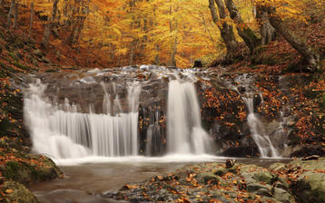 

Фото осень, лесная чаща, обои водопад, деревья

