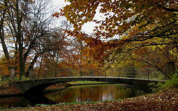 

Качественные картинки осень, фото природа, мост


