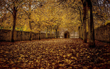 

Заставки осень, фото опавшие листья, аллея

