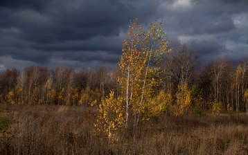 

Обои осень, фото осенние пейзажи

