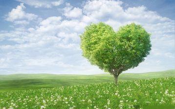 

Картинки любовное дерево сердце

