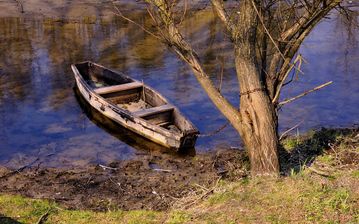 

Картинка природа, дерево, берег, лодка, осень

