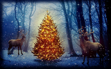 

Рисунок новогодняя елка, рождественские олени

