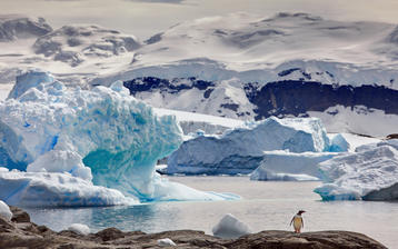 

фото зима, Антарктида, пингвин, толщи льда

